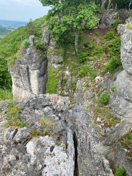 Laendliche Fewo Wildblume, 4 Km Zum Stausee Happurg Esterno foto